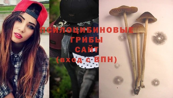 меф VHQ Гусев