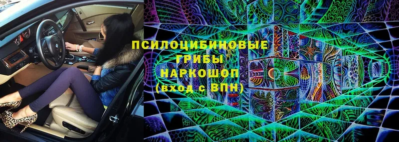 Галлюциногенные грибы MAGIC MUSHROOMS Дзержинский