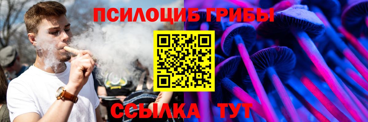 Галлюциногенные грибы мицелий  Дзержинский  Галлюциногенные грибы ЛСД 